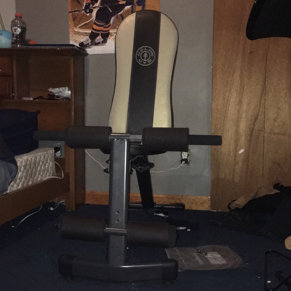 Golds Gym Workout Seat